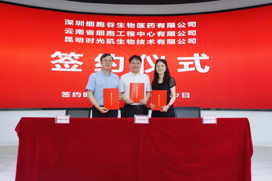 深圳凯发K8生物医药有限公司、云南省细胞工程中心有限公司及昆明时光肌生物技术有限公司达成战略合作