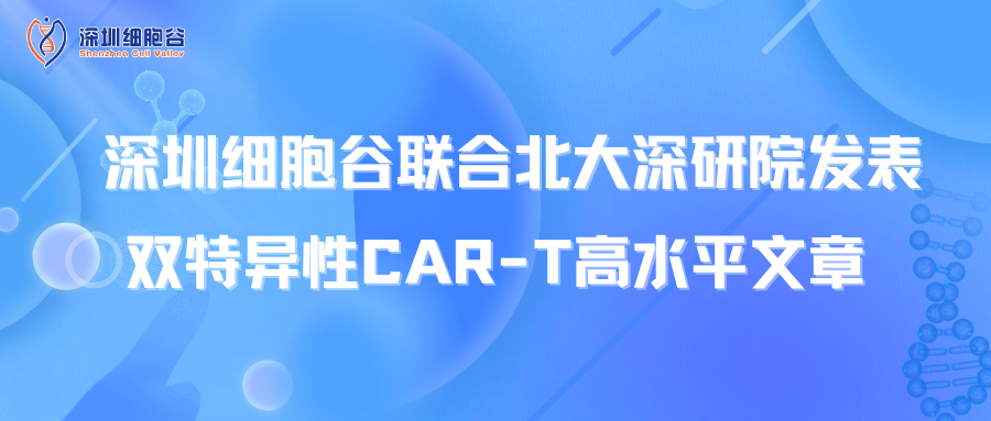喜讯丨深圳凯发K8联合北大深研院发表双特异性CAR-T高水平文章