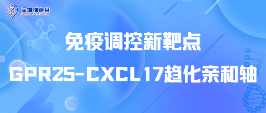 免疫调控新靶点：GPR25-CXCL17趋化亲和轴