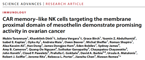 靶向间皮素的CAR记忆样NK细胞：卵巢癌治疗的新希望