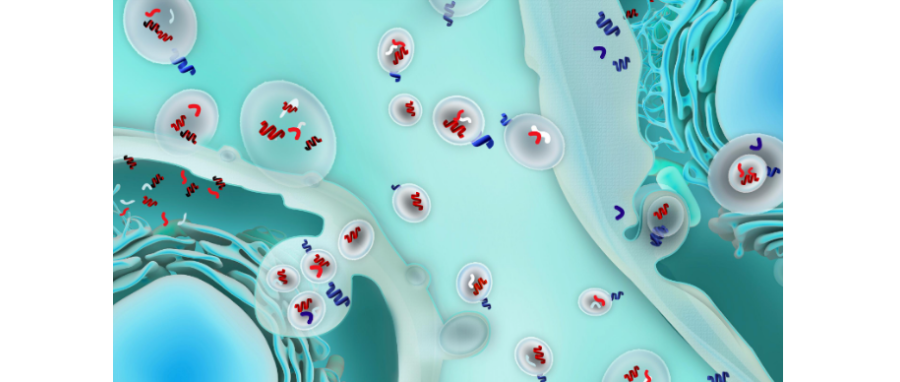 哪吒闹海！外泌体面纱大揭秘，我命由我不由天！