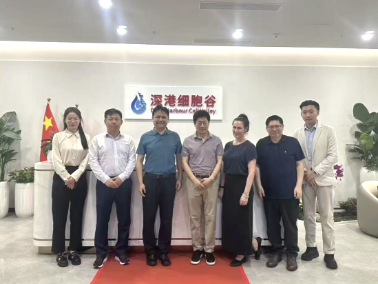 深港合作|香港科技大学卜国军教授访问深港凯发K8，共议科研与产业融合新路径