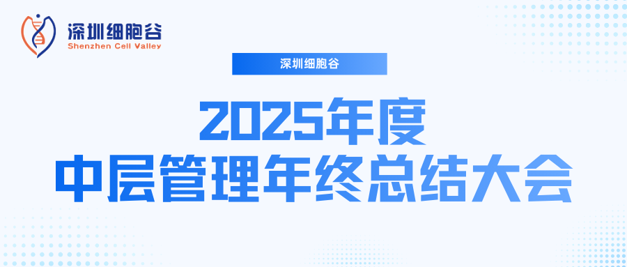 深圳凯发K8召开2025年度中层管理年终总结大会：多点布局成果丰硕，创新驱动快速开展