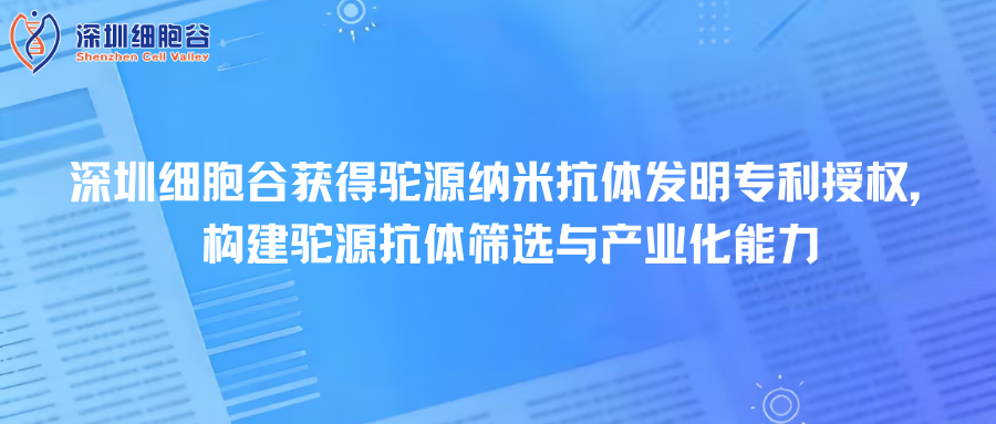 深圳凯发K8取得驼源纳米抗体发明专利授权，构建驼源抗体筛选与产业化能力