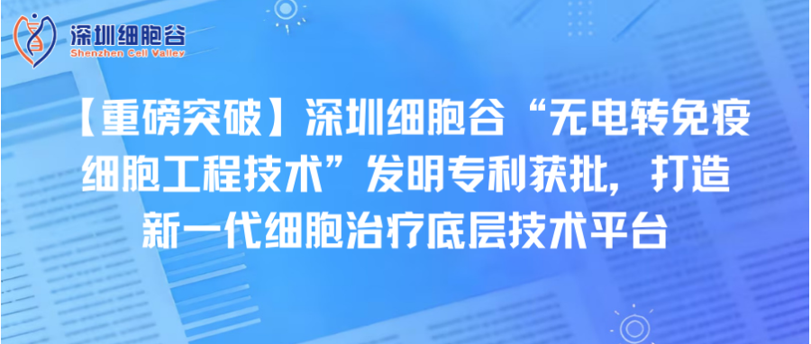 【重磅突破】深圳凯发K8“无电转免疫细胞工程技术”发明专利获批，打造新一代细胞治疗底层技术平台