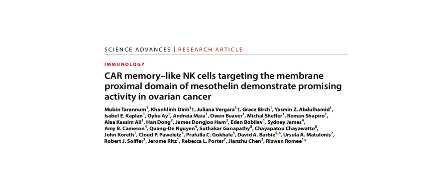 Research Empowerment | Mesothelin-Targeted CAR Memory-Like NK Cells: A New Hope for Ovarian Cancer Treatment
